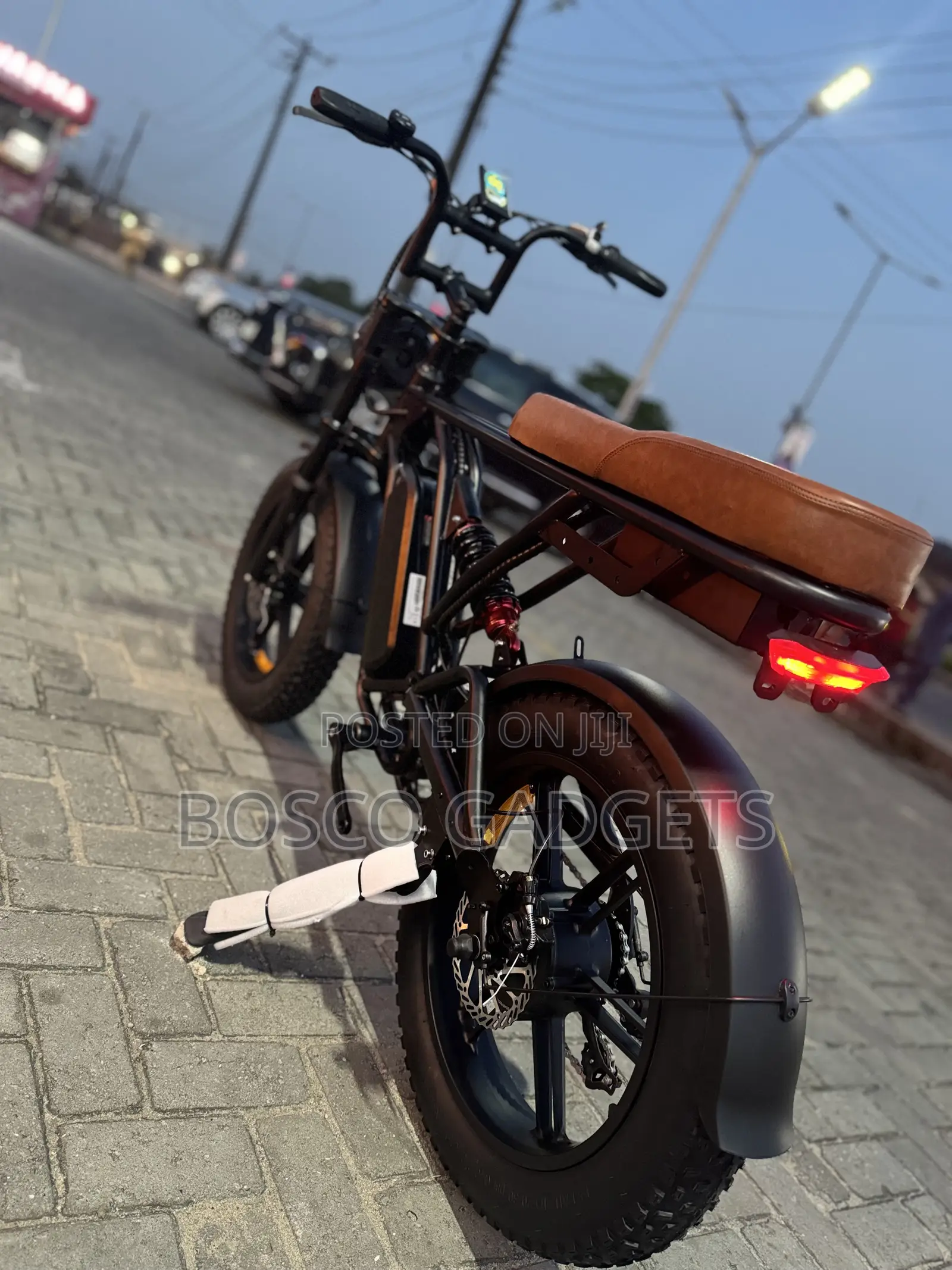 2 Seater Quality USA Electric Bicycle 48V Lithium BMW