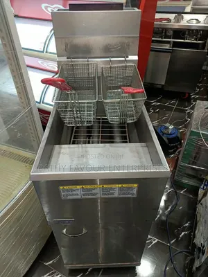 Gas Fryer 2 Basket Standing