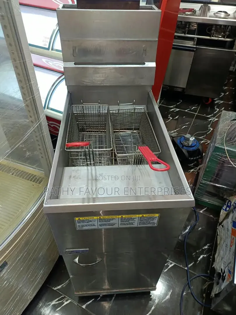Gas Fryer 2 Basket Standing
