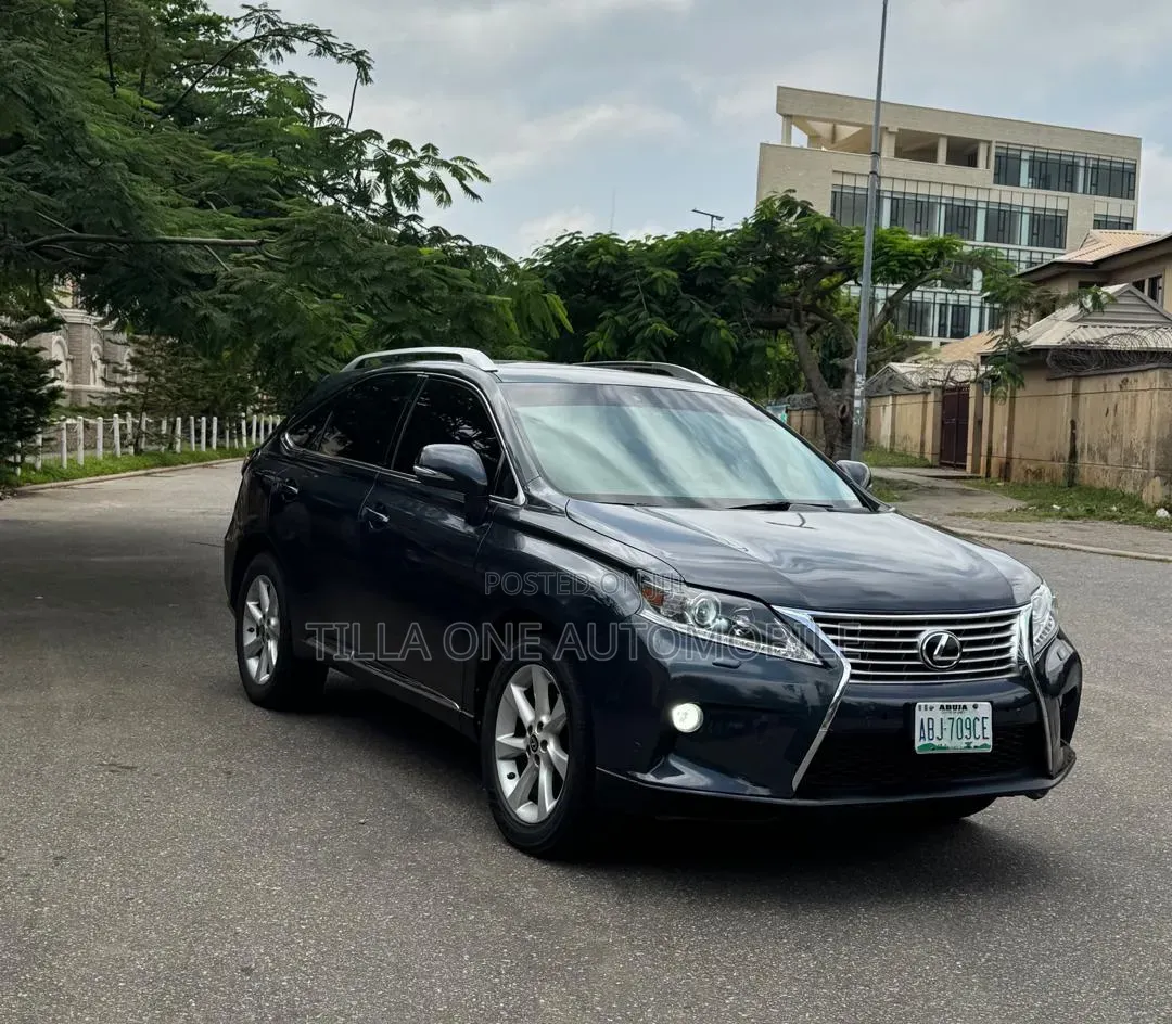 Lexus RX 350 2010 Gray