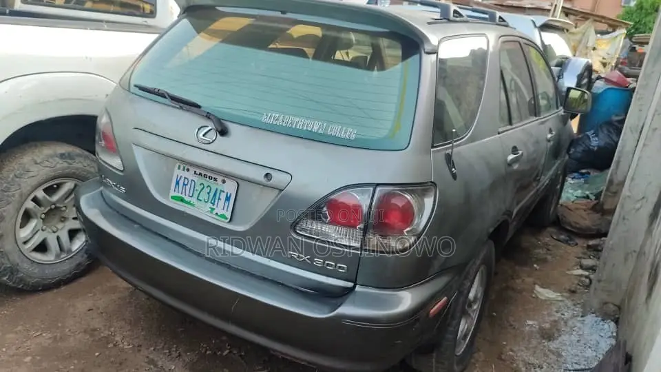 Lexus RX 300 4WD 2002 Gray