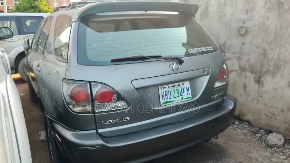 Lexus RX 300 4WD 2002 Gray