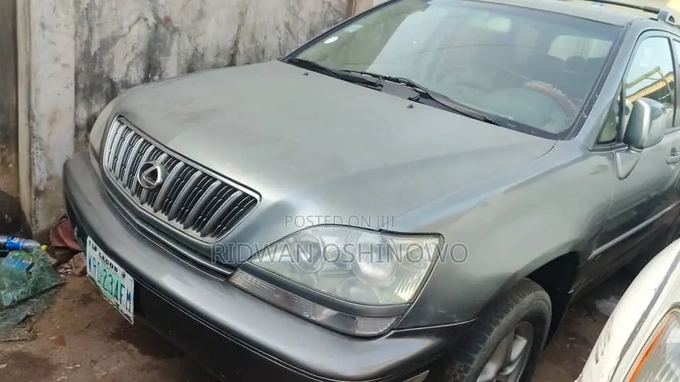 Lexus RX 300 4WD 2002 Gray