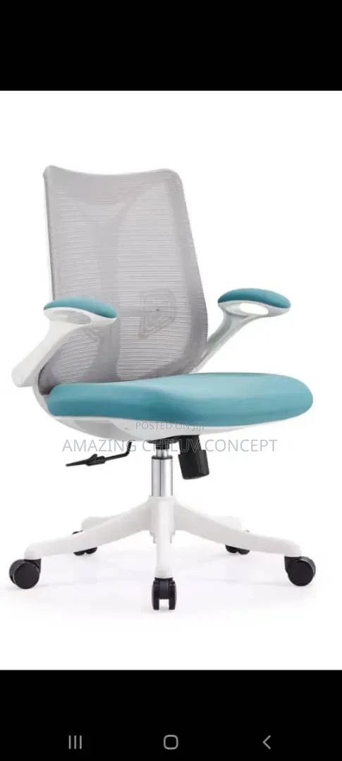 Modern Ergonomic Mesh Office Chair With Adjustable Armrests