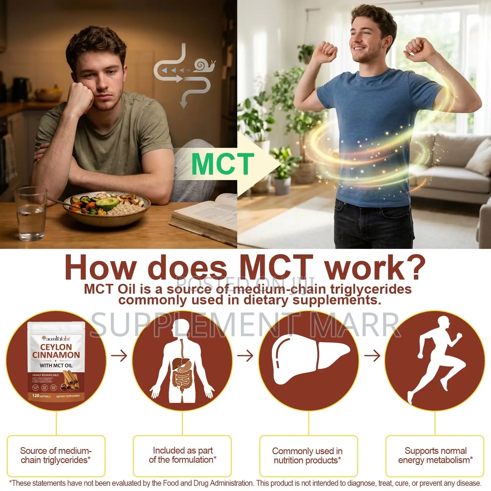 Ceylon Cinnamon Capsules With MCT Oil Highly Bioavailable X 120