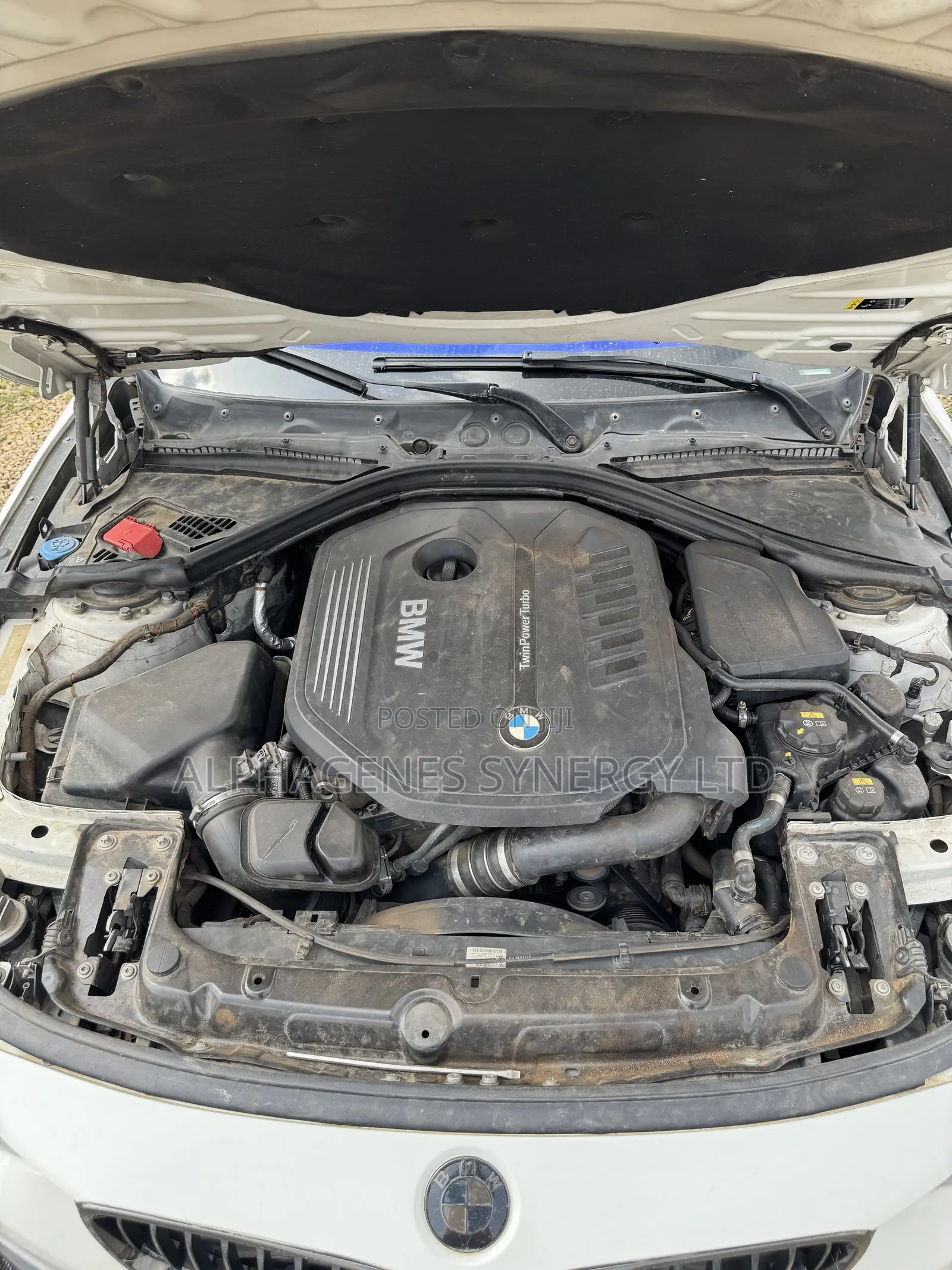 BMW 4 Series 440i RWD 2019 White