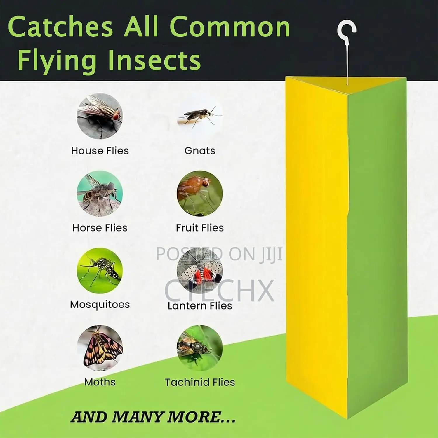 6 Pack Hanging Fruit Fly Traps, Non Toxic Home Pest Control DIY