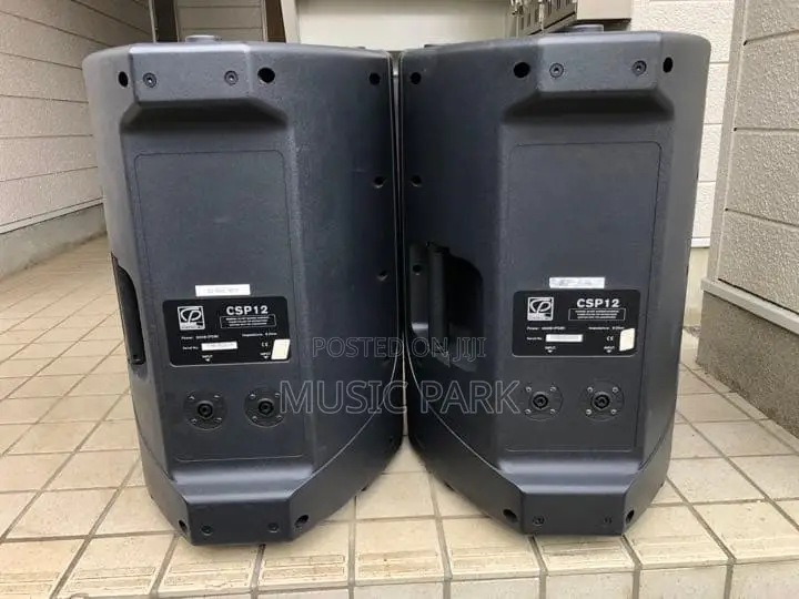 Heavy-Duty Pair of Classic Pro Passive PA Speakers – Great Sound!