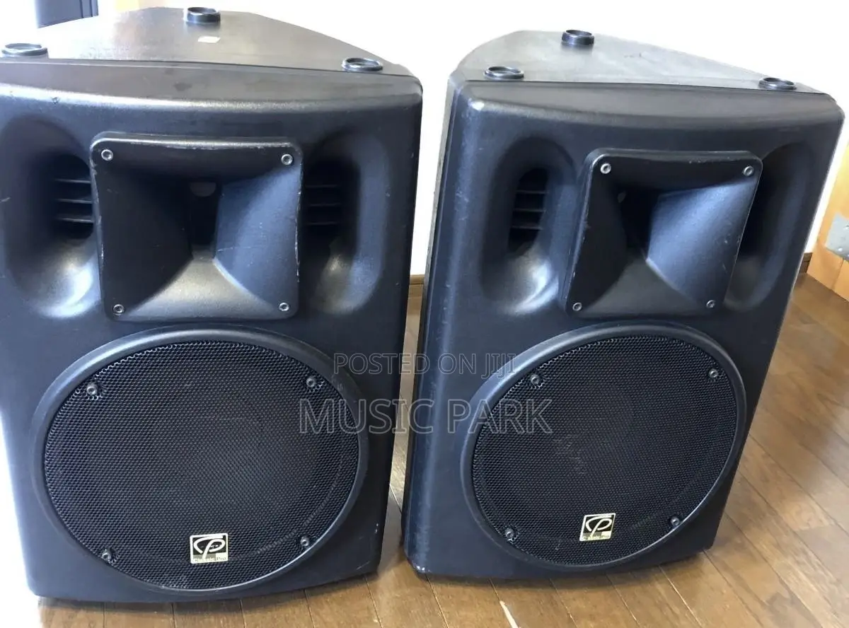 Heavy-Duty Pair of Classic Pro Passive PA Speakers – Great Sound!