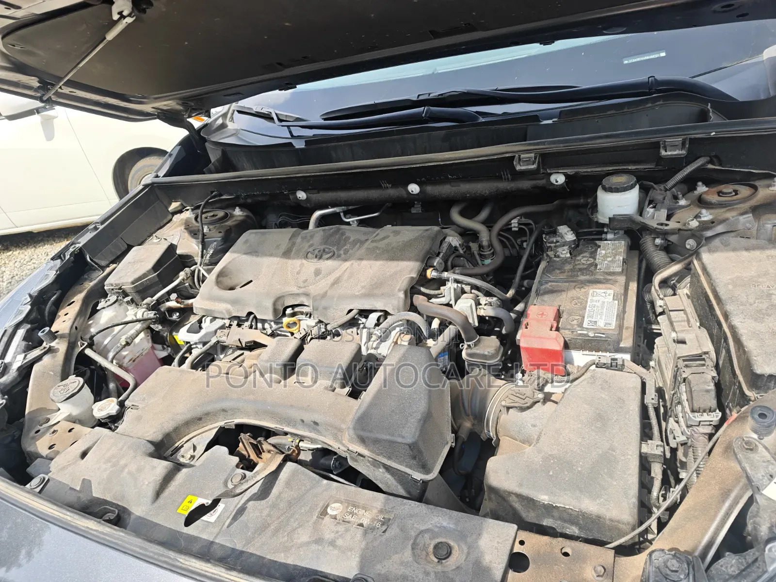 Toyota RAV4 XLE AWD 2024 Gray