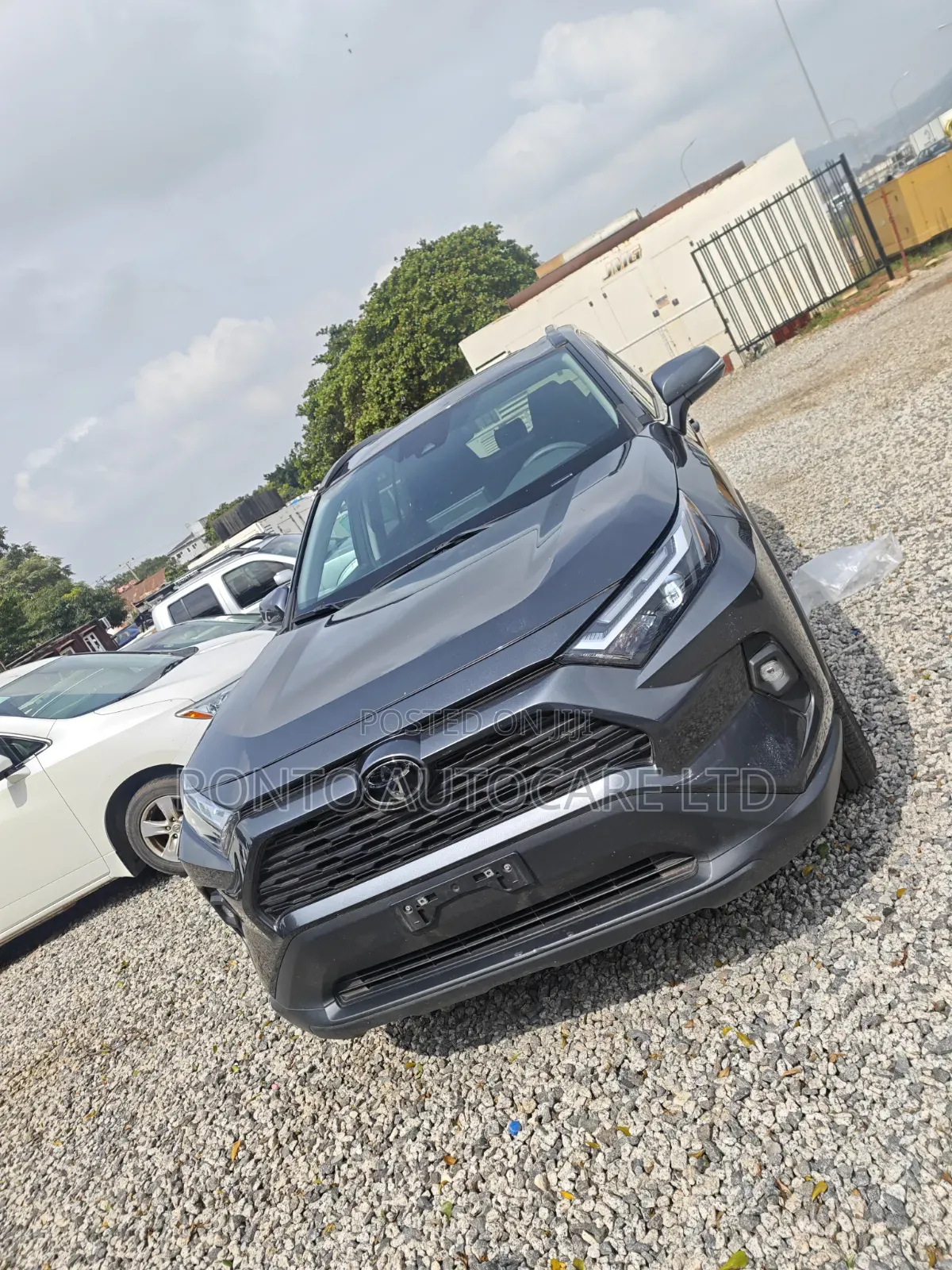 Toyota RAV4 XLE AWD 2024 Gray