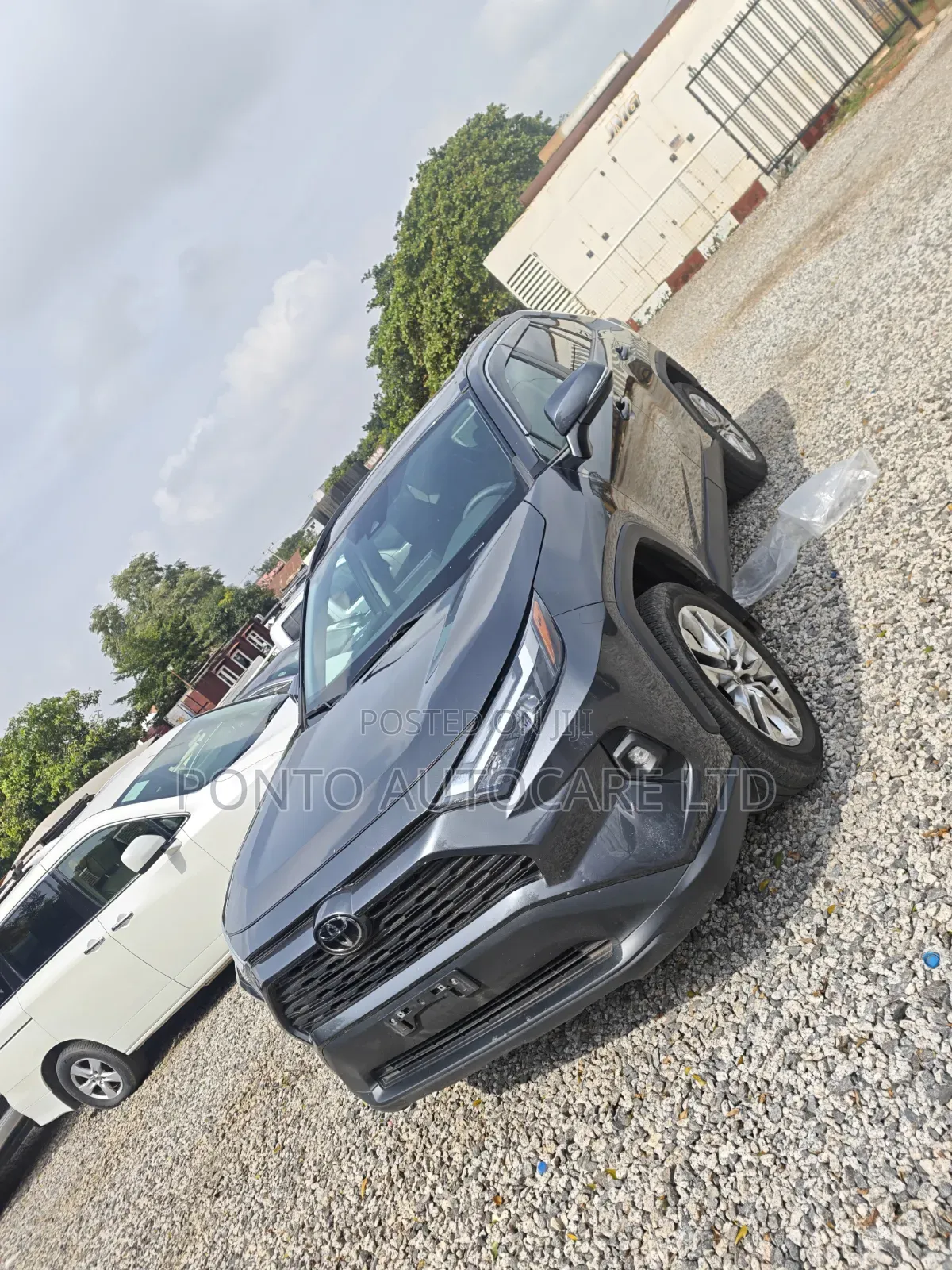 Toyota RAV4 XLE AWD 2024 Gray