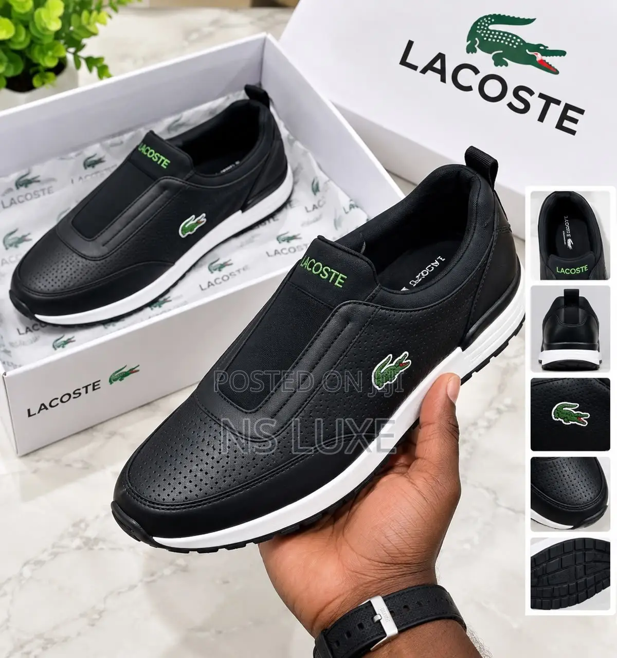High Quality Lacoste Available 40-46 Fully Boxed