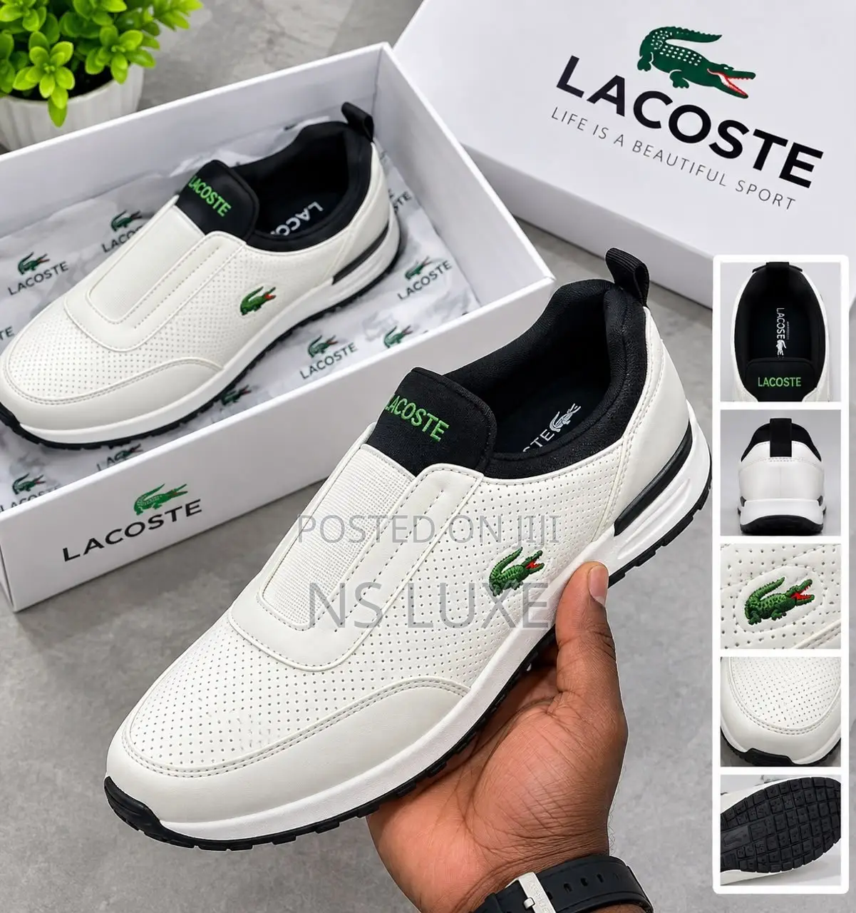 High Quality Lacoste Available 40-46 Fully Boxed