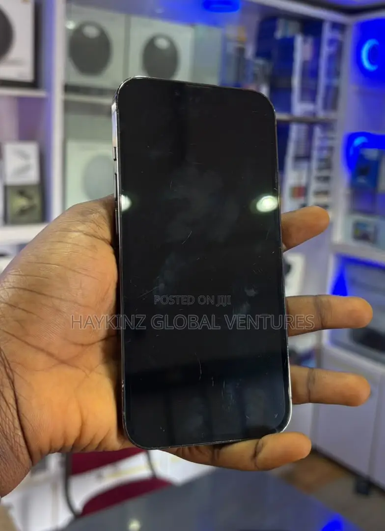 Apple iPhone 13 Pro 256 GB Gray