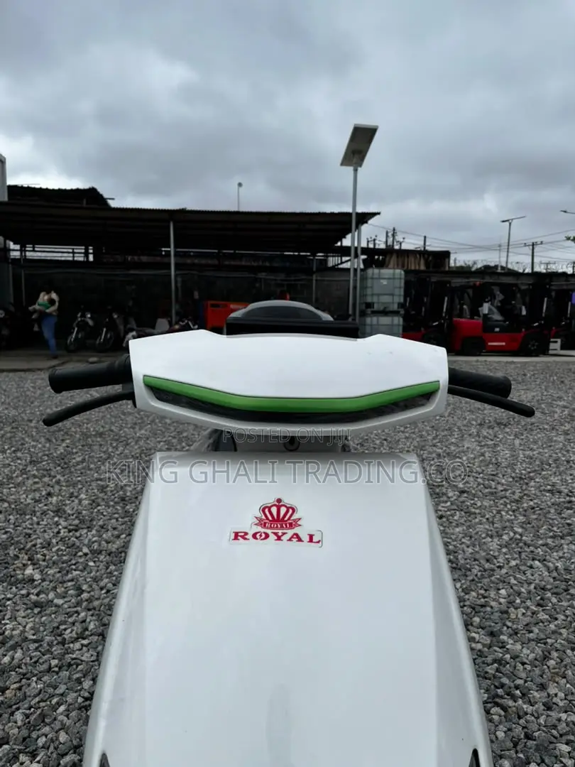 New Royal Racer 2025 White