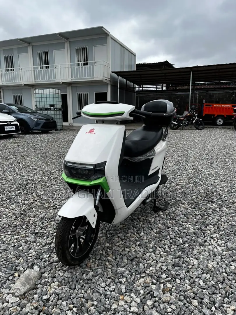 New Royal Racer 2025 White