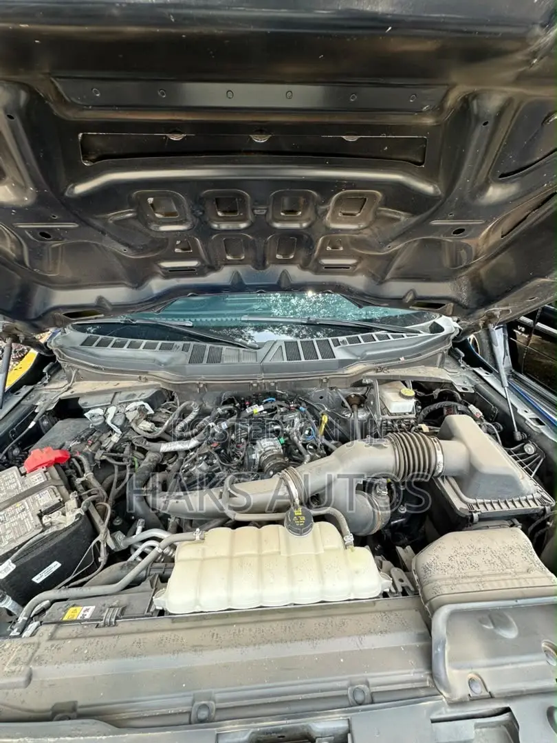 Ford F-150 2025 Blue