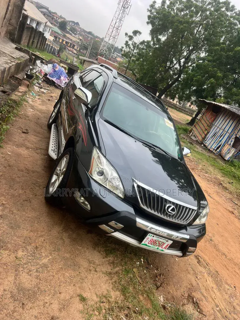 Lexus RX 2008 Gray