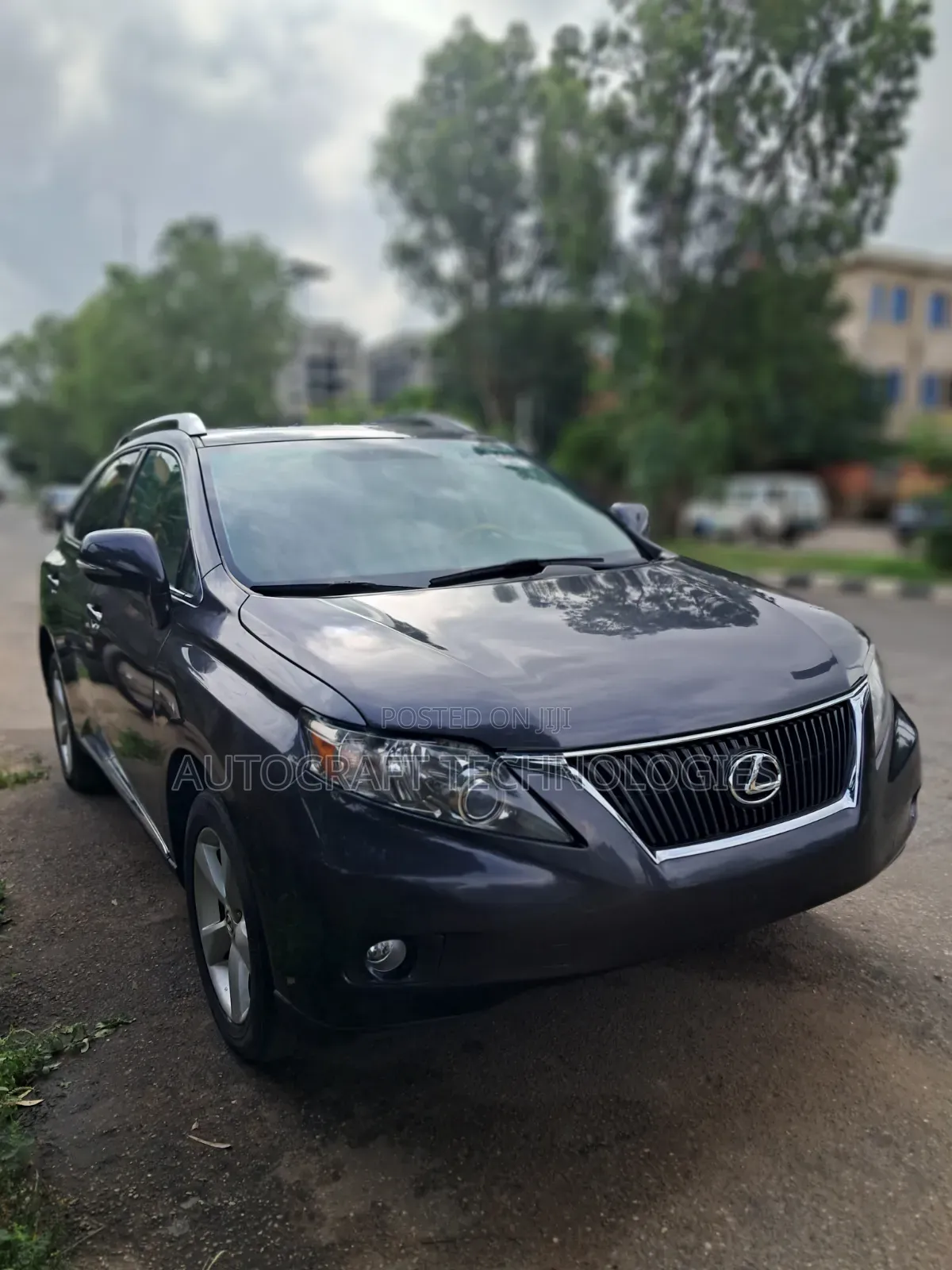 Lexus RX 2010 Gray