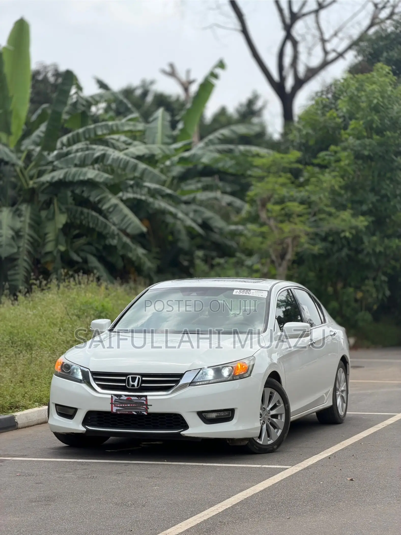 Honda Accord 2014 White