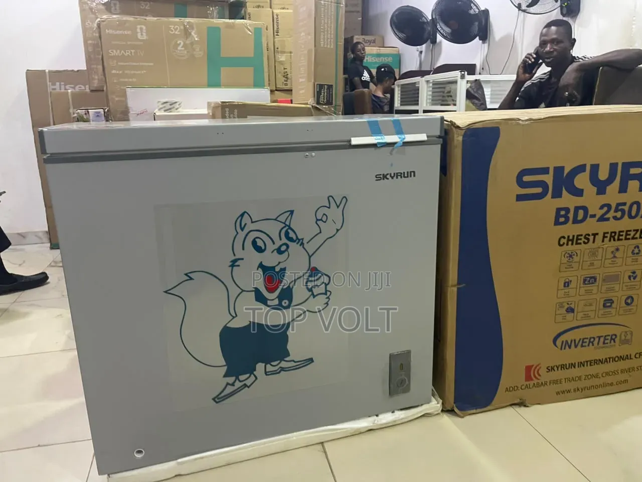 Skyrun 200L Inverter Chest Freezer BD-250A