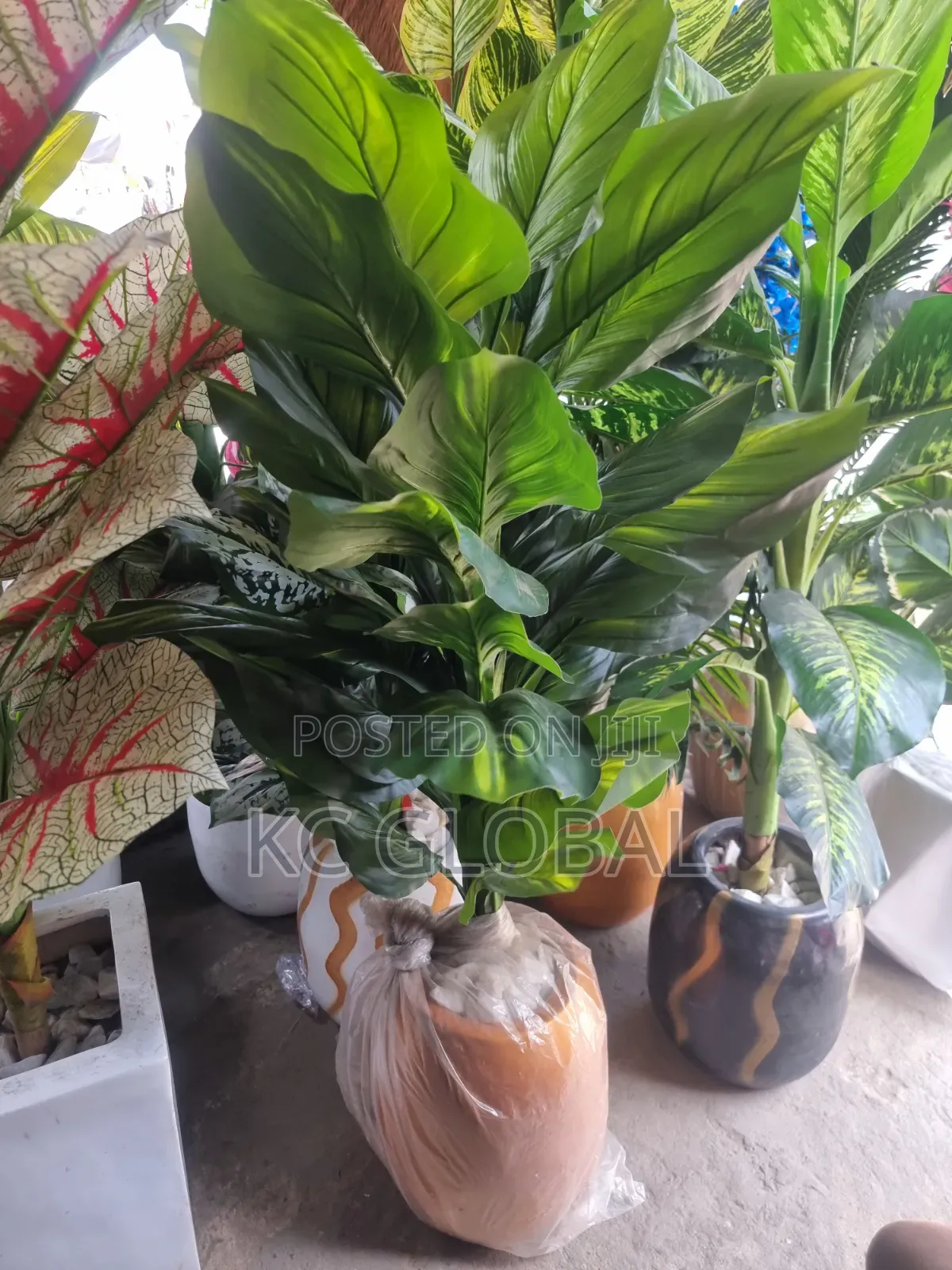 Artificial Flower Plant and Vase Available
