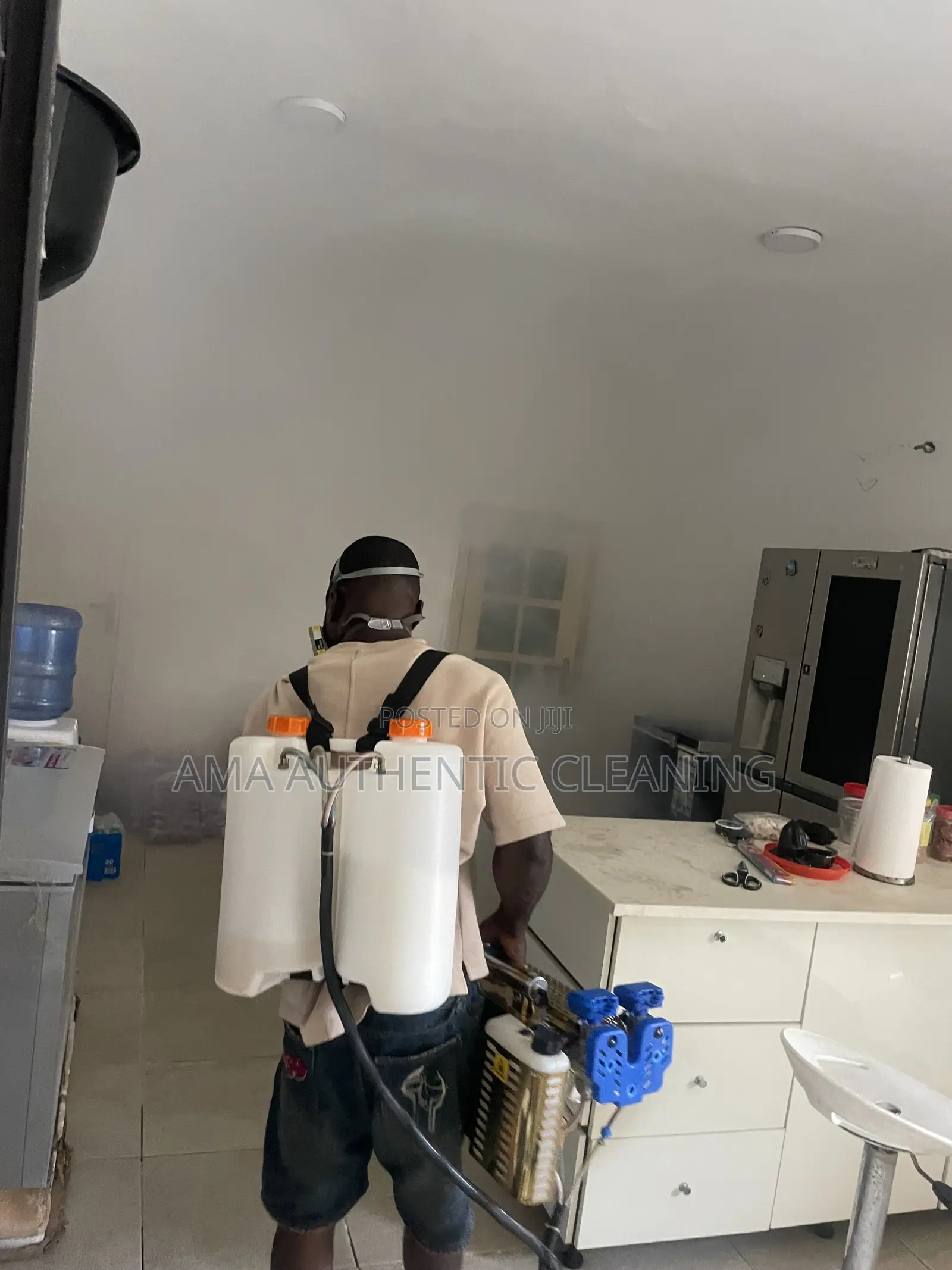 Professional Fumigation Service With Fogging Machine