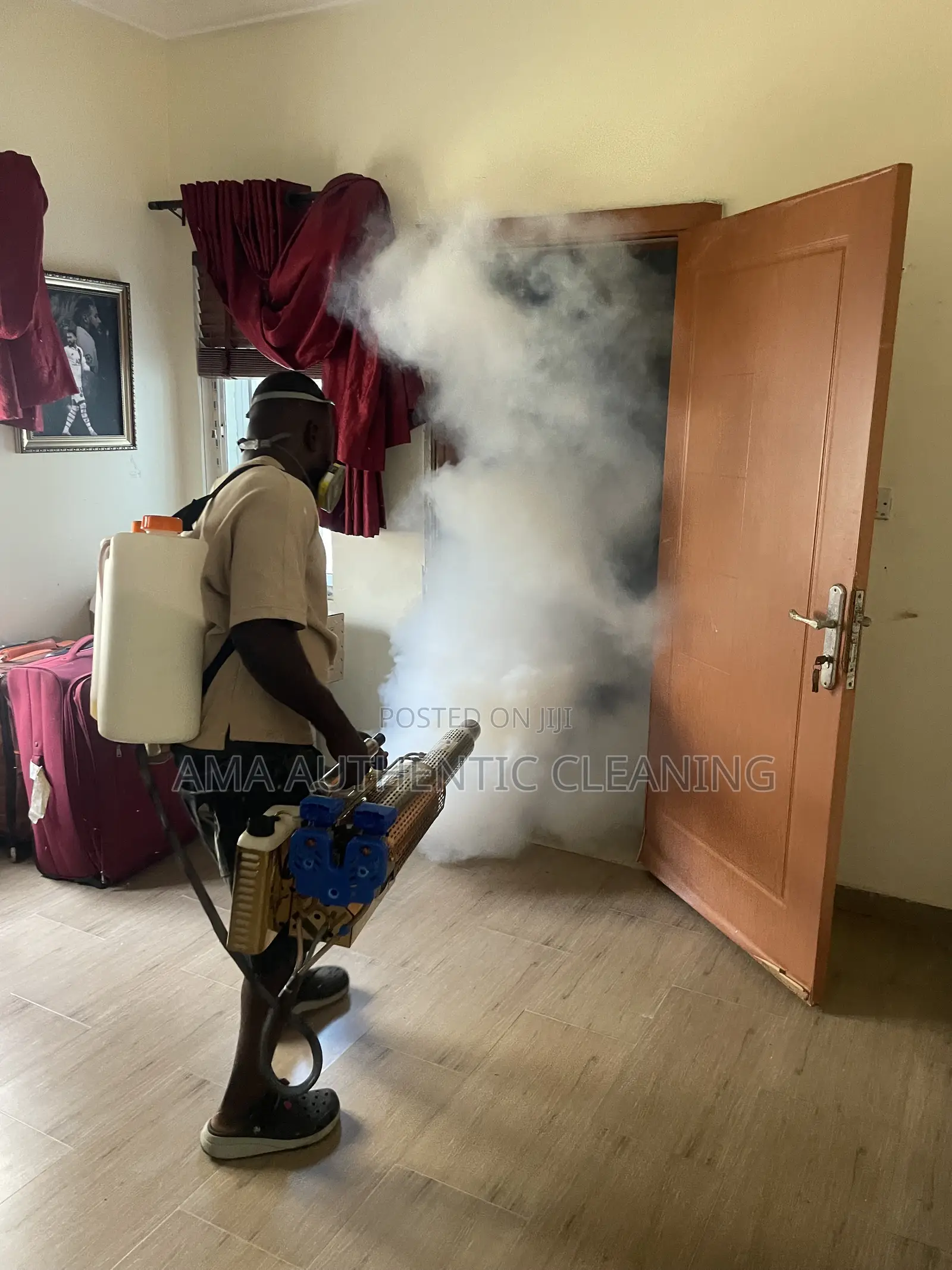 Professional Fumigation Service With Fogging Machine