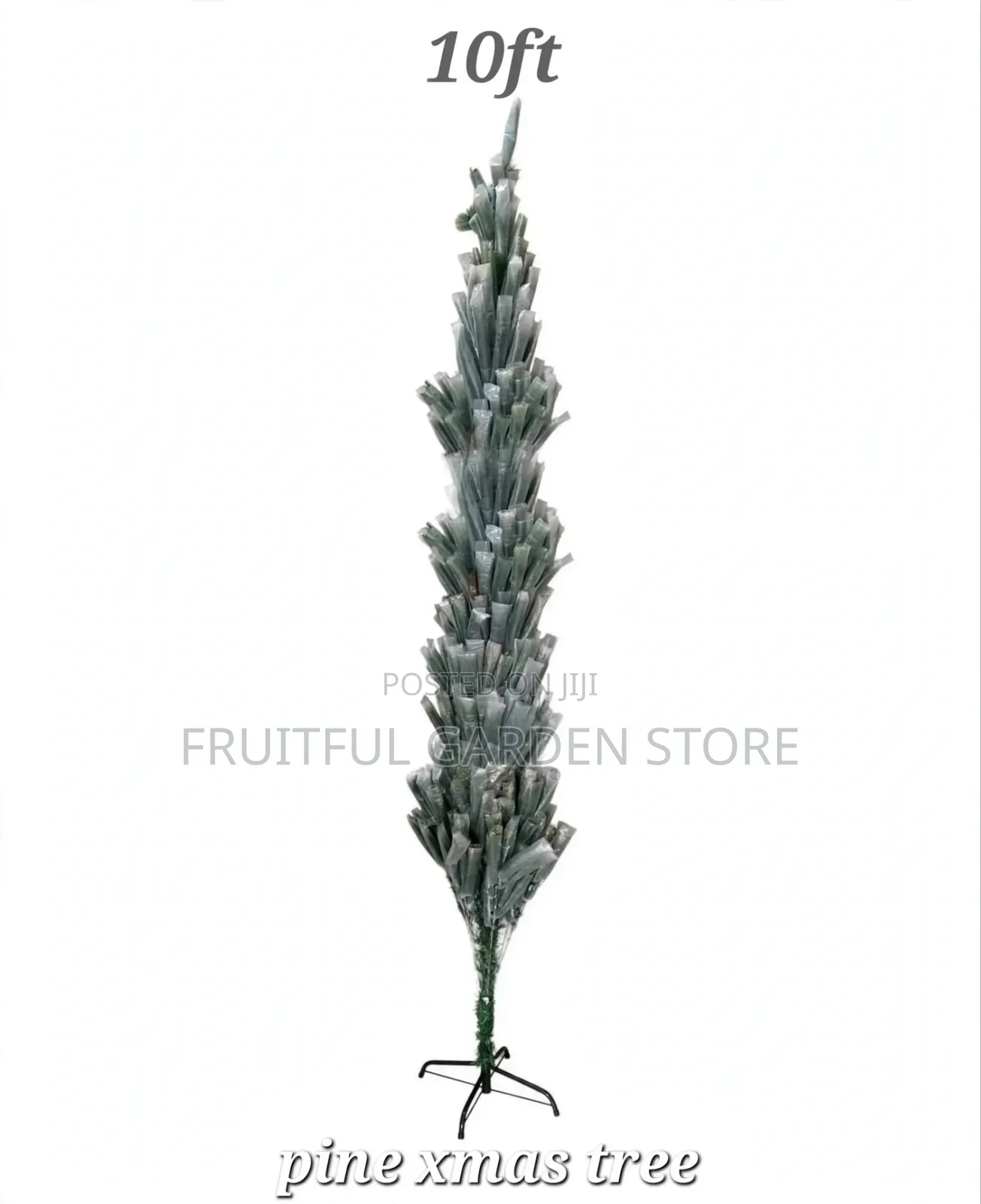 Pine Xmas Tree