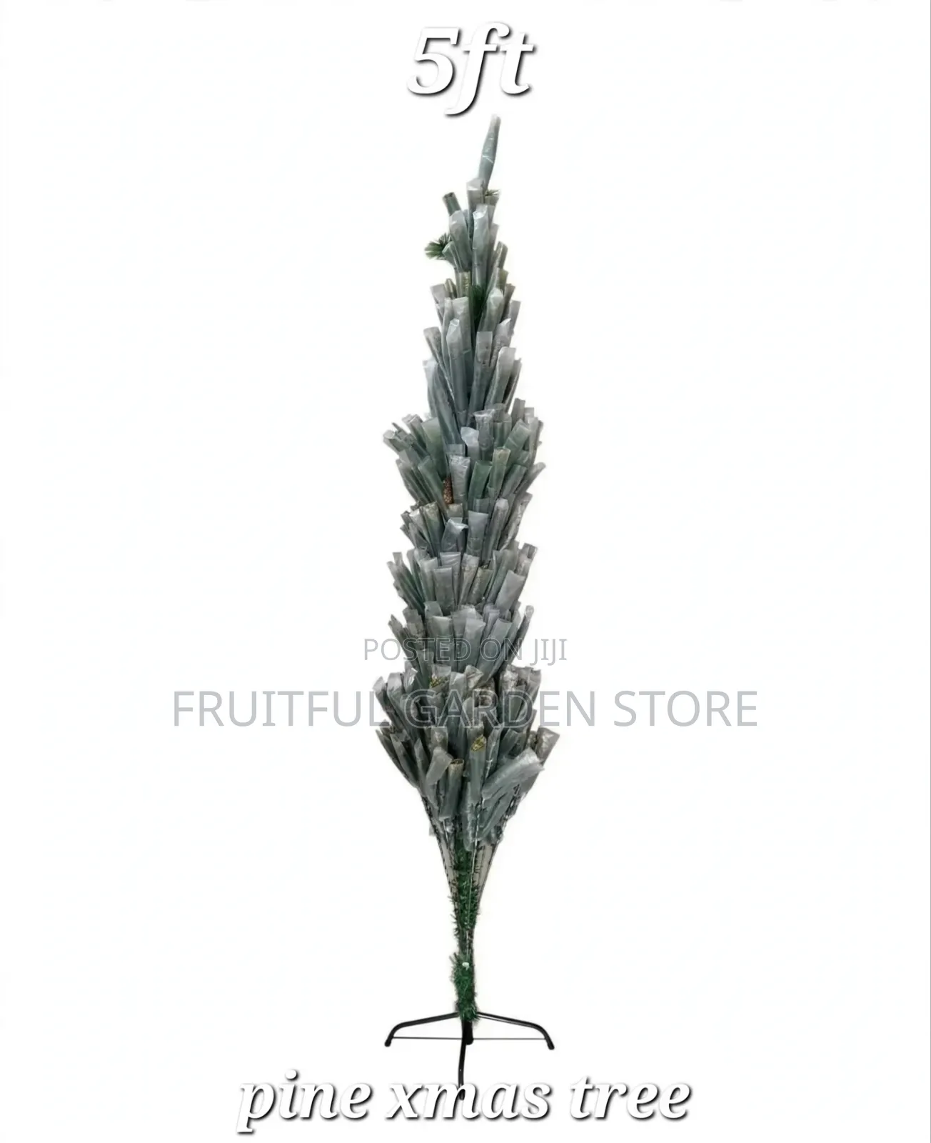 Pine Xmas Tree