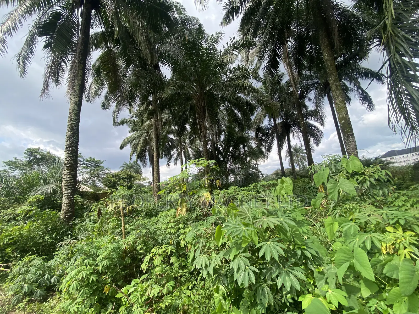 2 Premium Buy and Build Plot for Sale at Dozie Way Umuahia