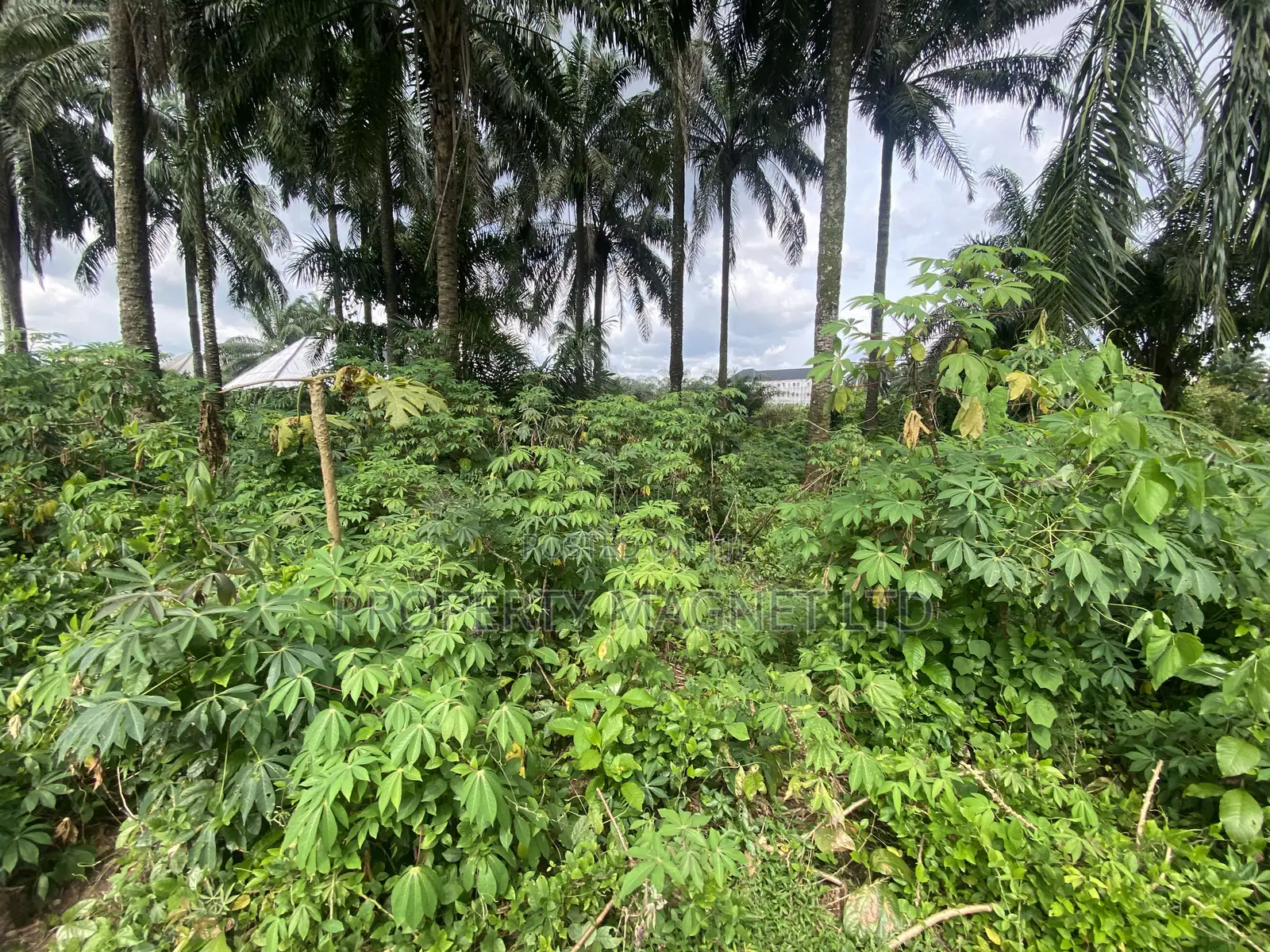 2 Premium Buy and Build Plot for Sale at Dozie Way Umuahia