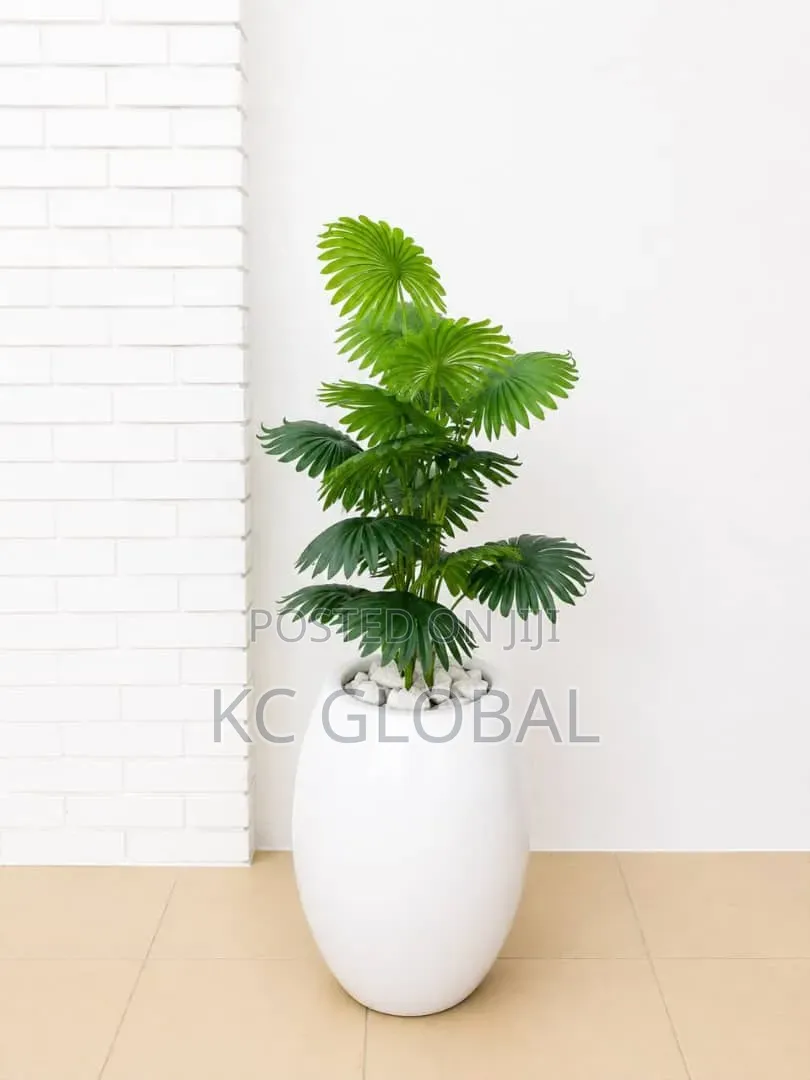 Outdoor and Indoor Flower
