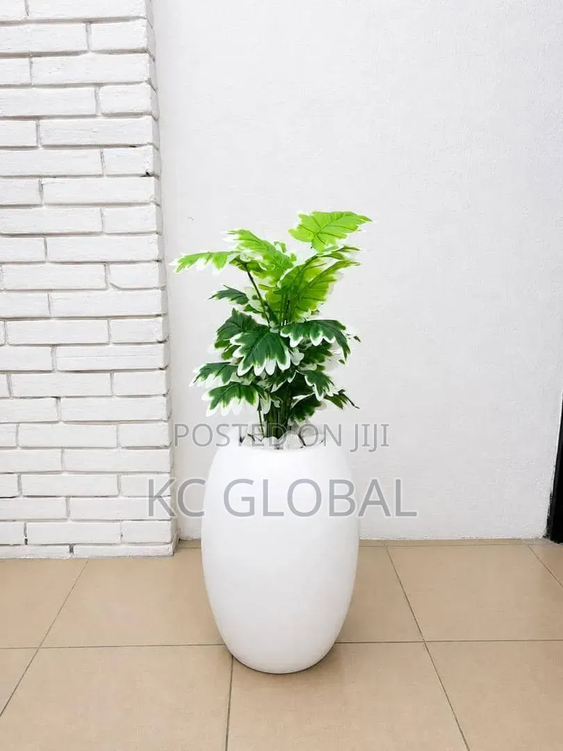 Outdoor and Indoor Flower