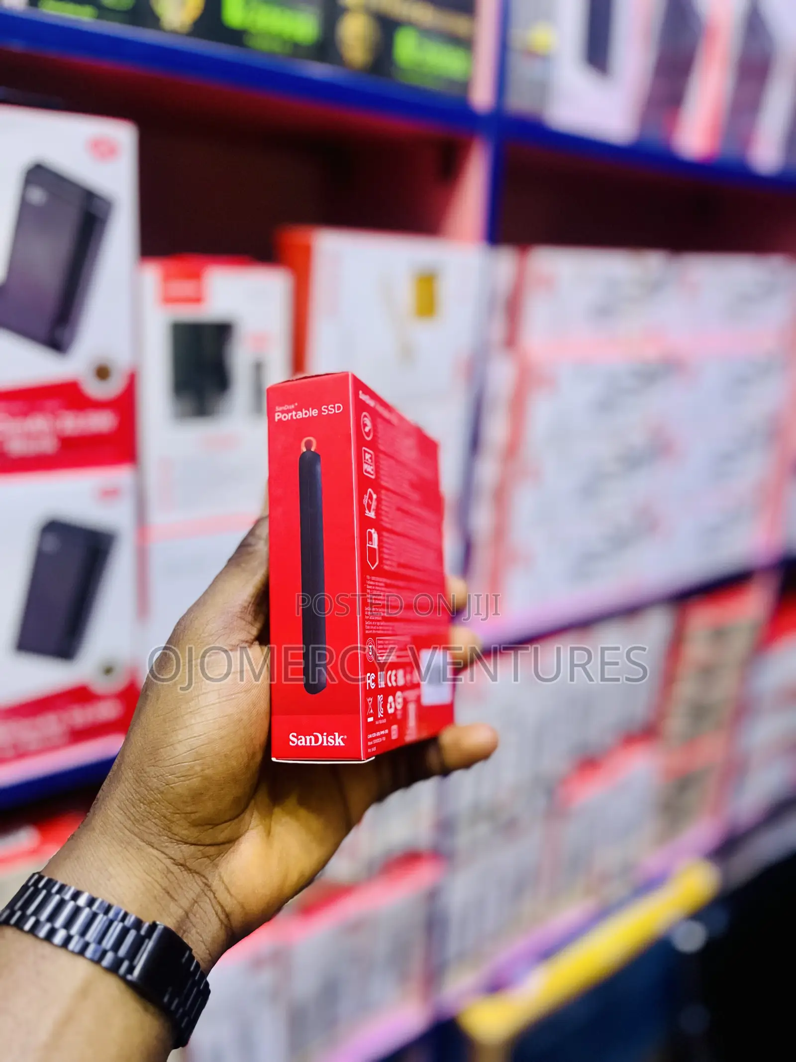 SanDisk Portable SSD (1TB, Up to 800 MB/s)