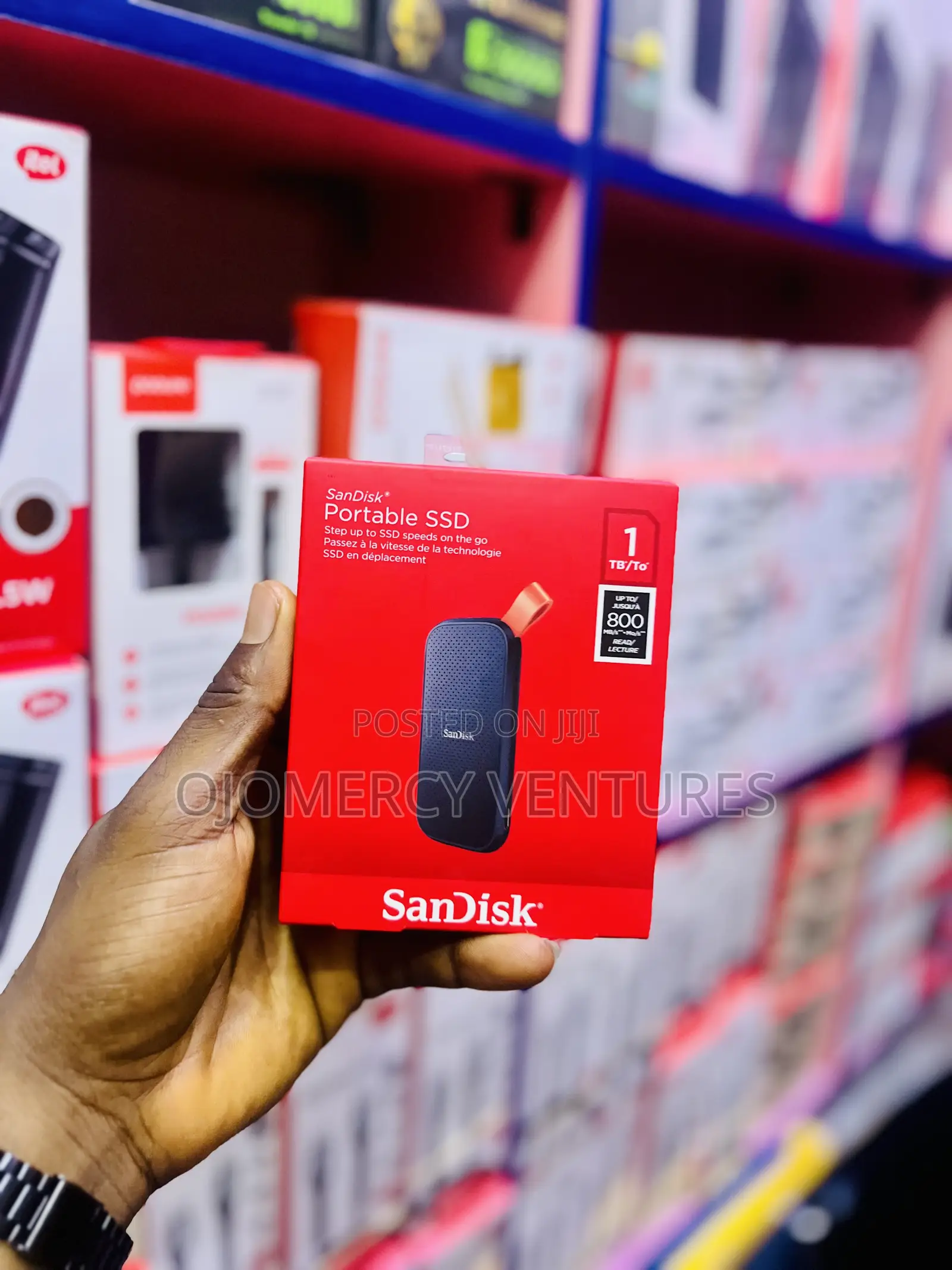 SanDisk Portable SSD (1TB, Up to 800 MB/s)