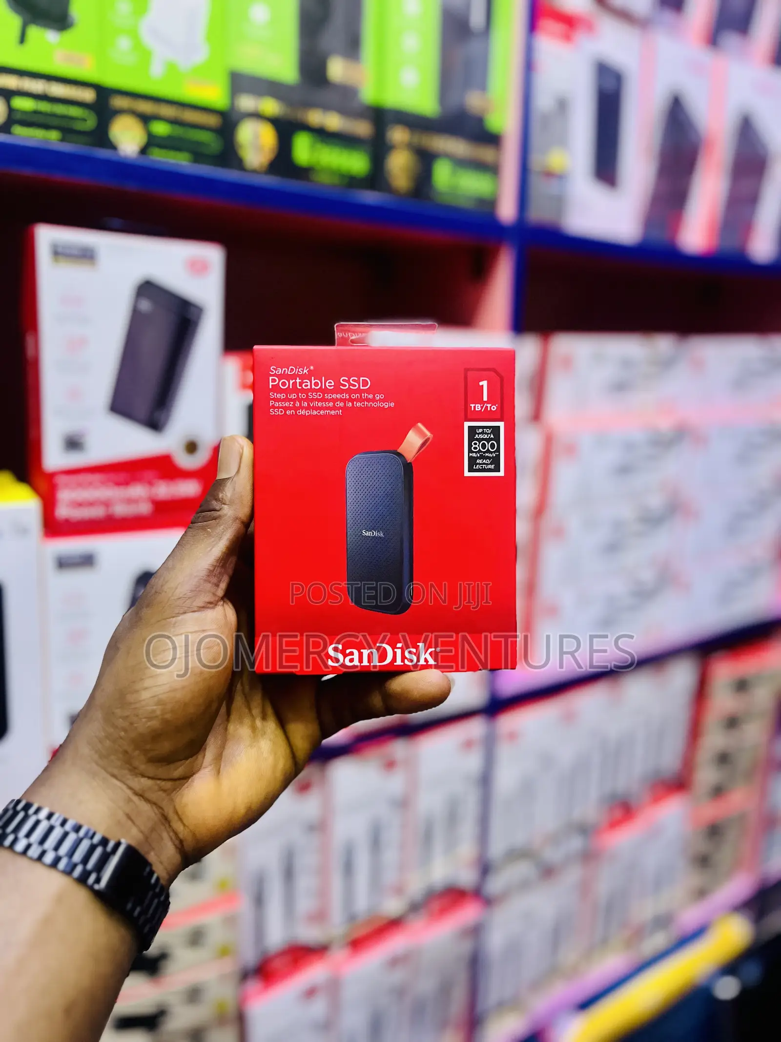 SanDisk Portable SSD (1TB, Up to 800 MB/s)