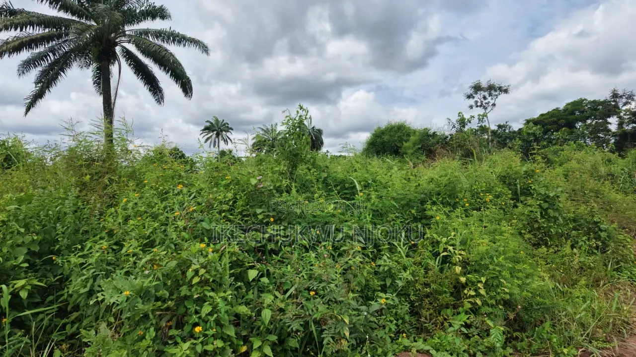 8 Plots of Land at Ubakala