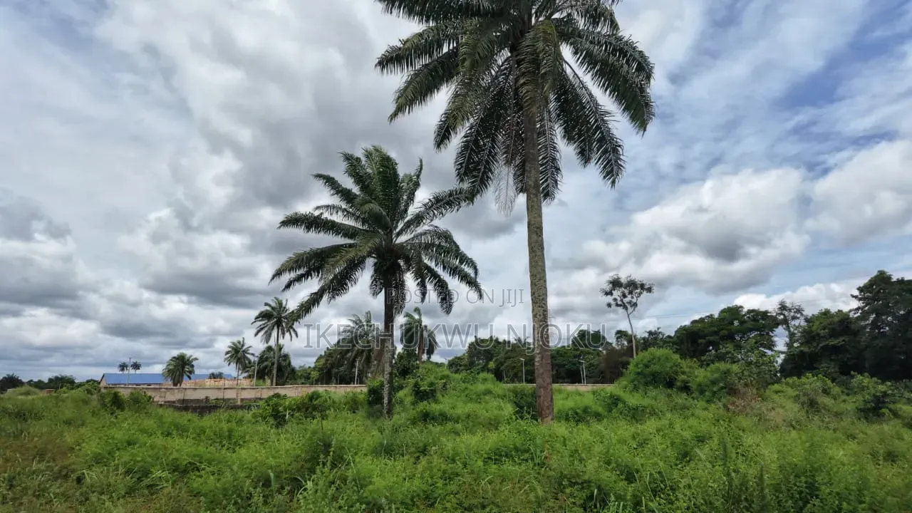 8 Plots of Land at Ubakala