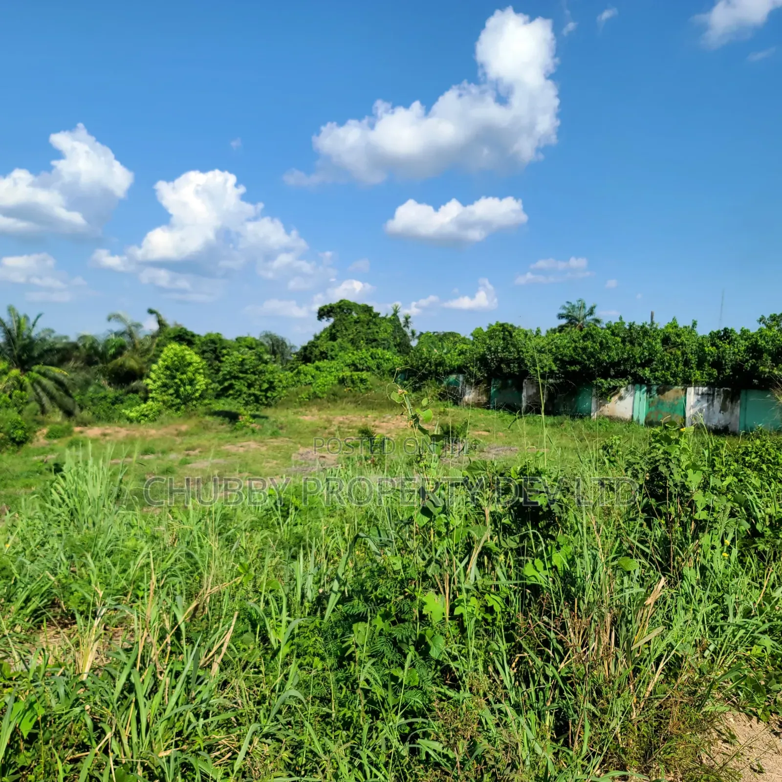 1 Plot of Land for Sale