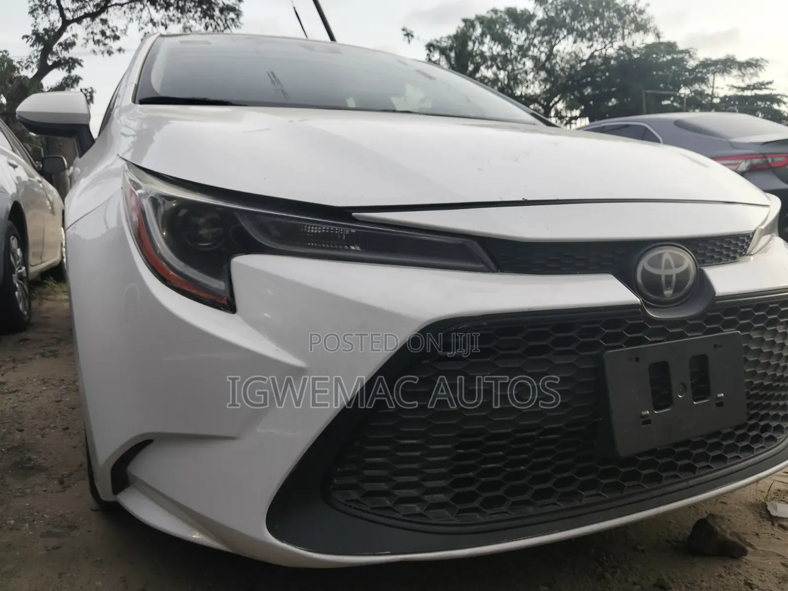 Toyota Corolla LE 2020 White