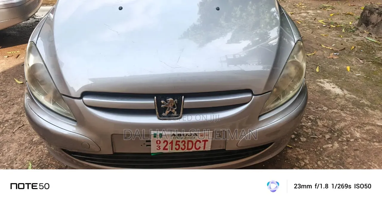 Peugeot 307 2005 Silver