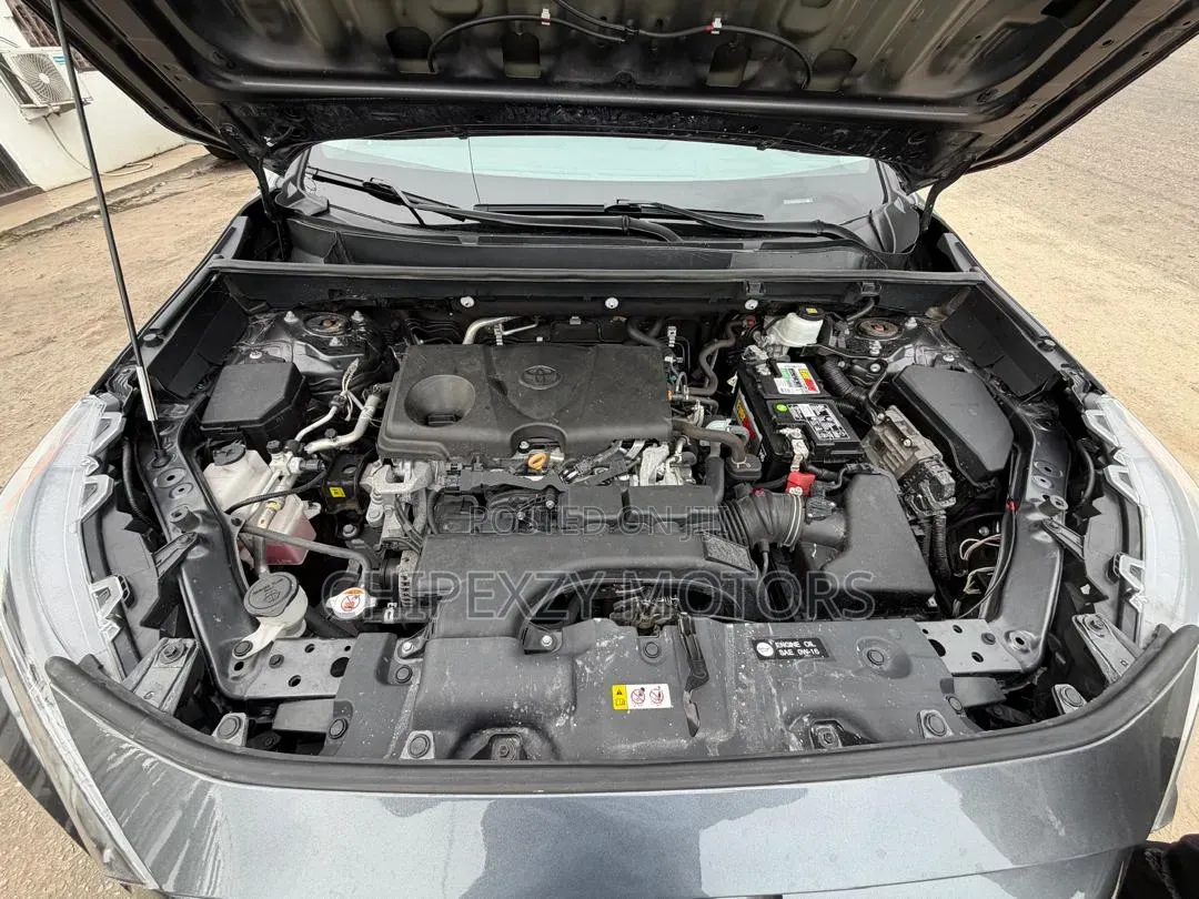 Toyota RAV4 XLE 2021 Gray