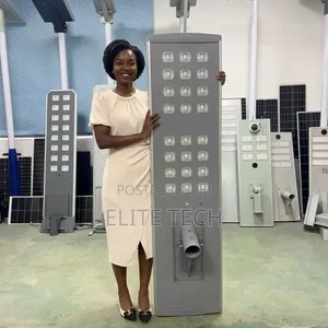 Massive All-in-One Heavy-Duty Solar Street Light (Industrial Grade)