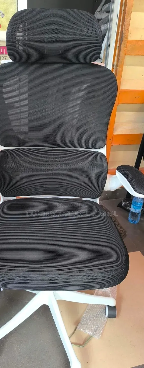 Ergonomic Office Chair