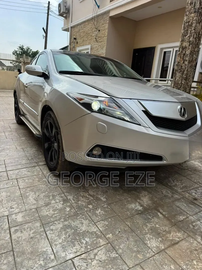 Acura ZDX Base AWD 2010 Silver