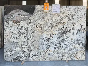 Italian Alaska Branco Granite Slab