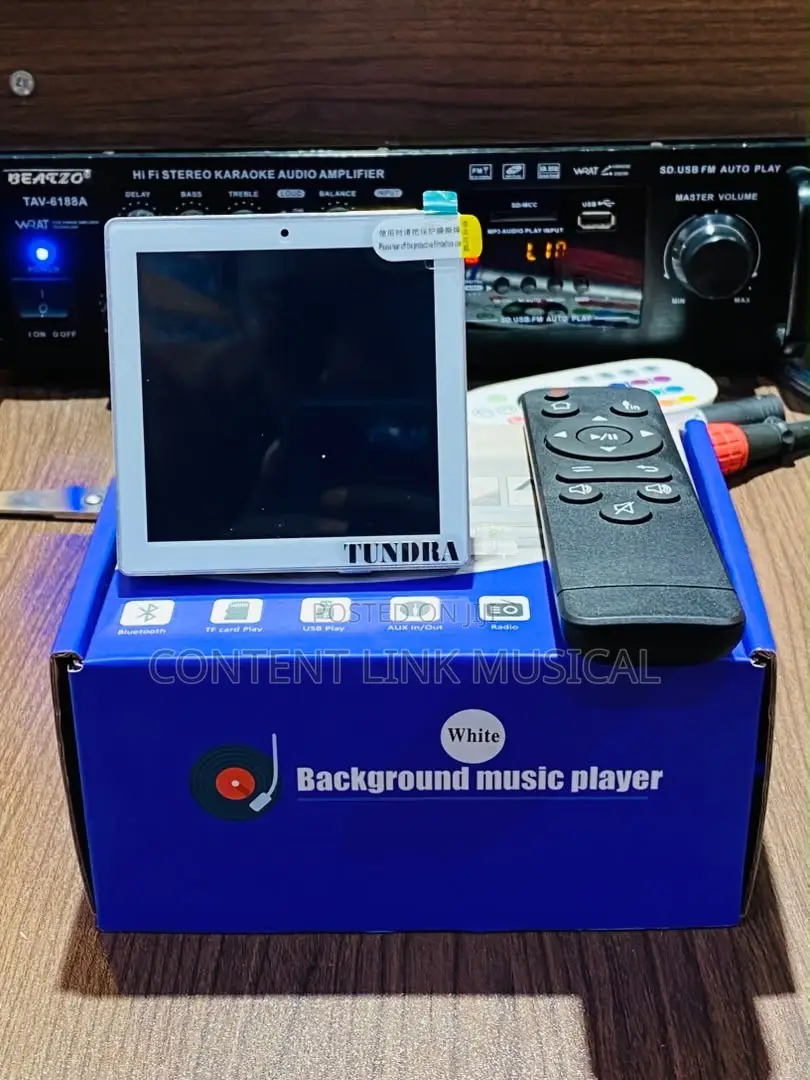4inches Alexa Inwall Amplifier