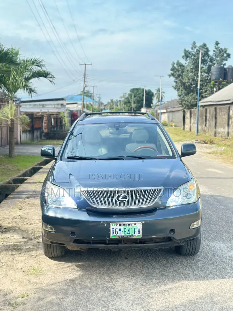 Lexus RX 330 2005 Gray